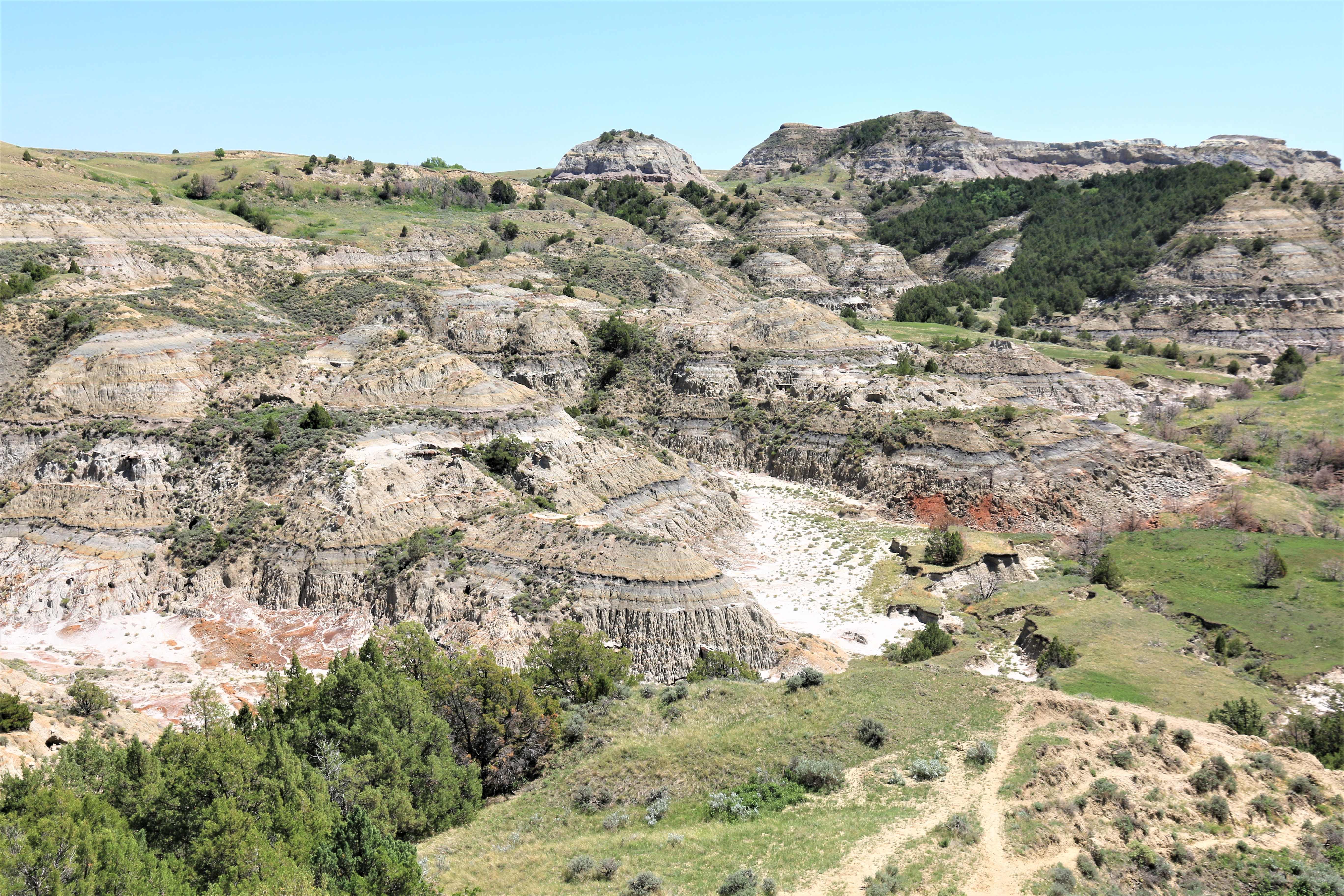 Theodore Roosevelt NP